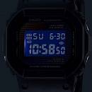 DW-5600RW-1